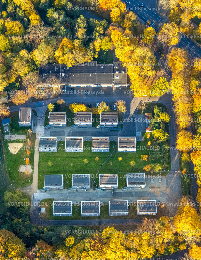 Gelsenkirchen251103459 | Luftbild, THW Katastrophenschutzzentrum, herbstliche Bäume, Erle, Gelsenkirchen, Ruhrgebiet, Nordrhein-Westfalen, Deutschland