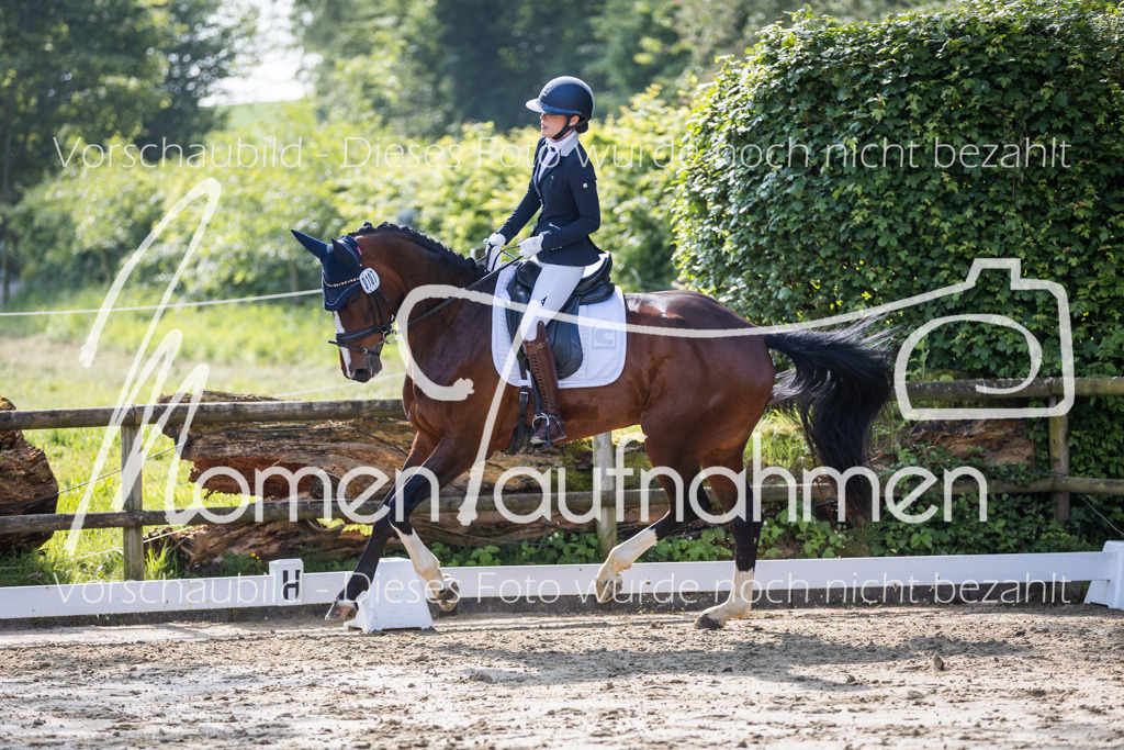 Donop24-A2-Dre-017 | MomenTaufnahmen Pferdesportfotos