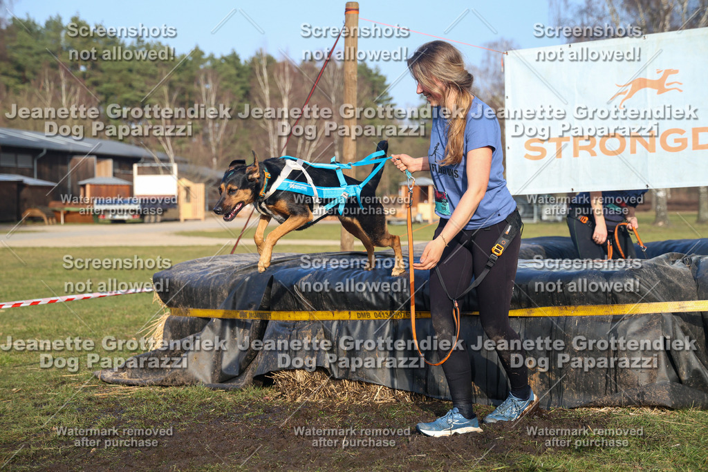 Dog Paparazzi - Strongdog North Mrz26-3618 | Dog Paparazzi Jeanette Grottendiek Fotografie & Videografie - Realisiert mit Pictrs.com