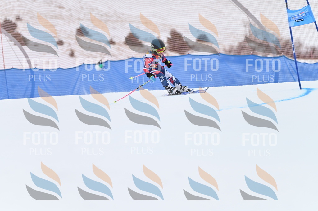 BGV_3146 | holidayphoto