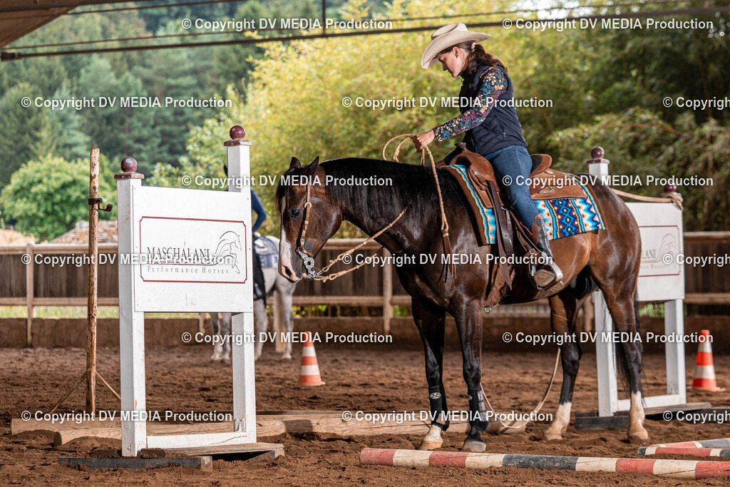 Erbach Tag 2-111 | dv-media-shop - Realisiert mit Pictrs.com