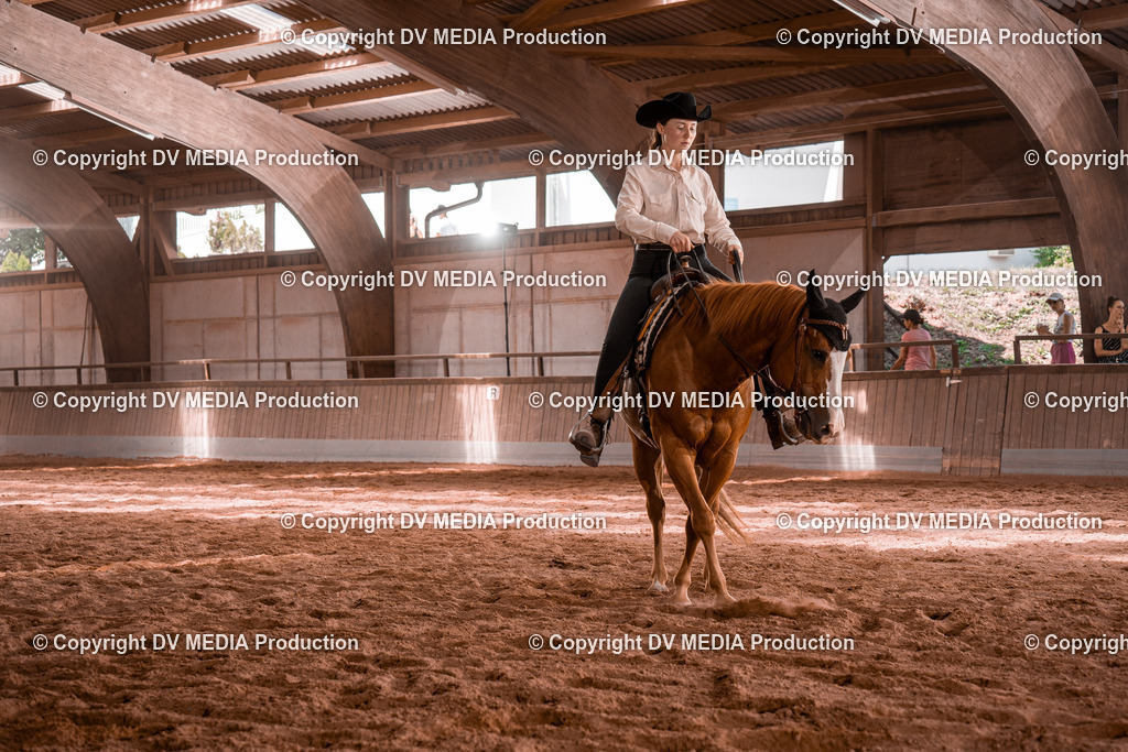 NE100524 | dv-media-shop - Realisiert mit Pictrs.com