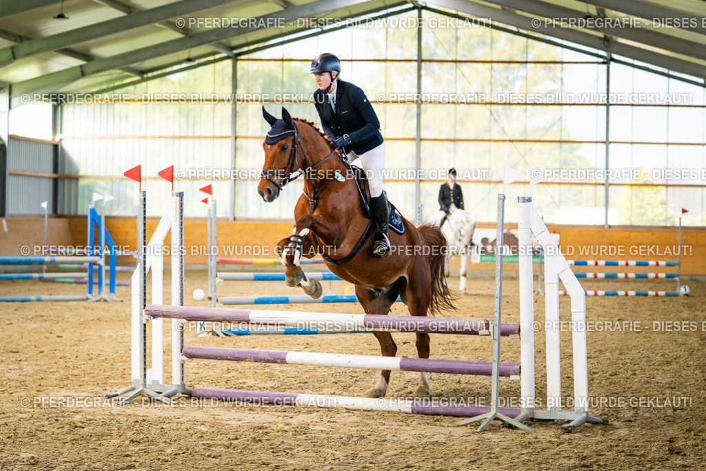 DSC00798 | Pferdegrafie