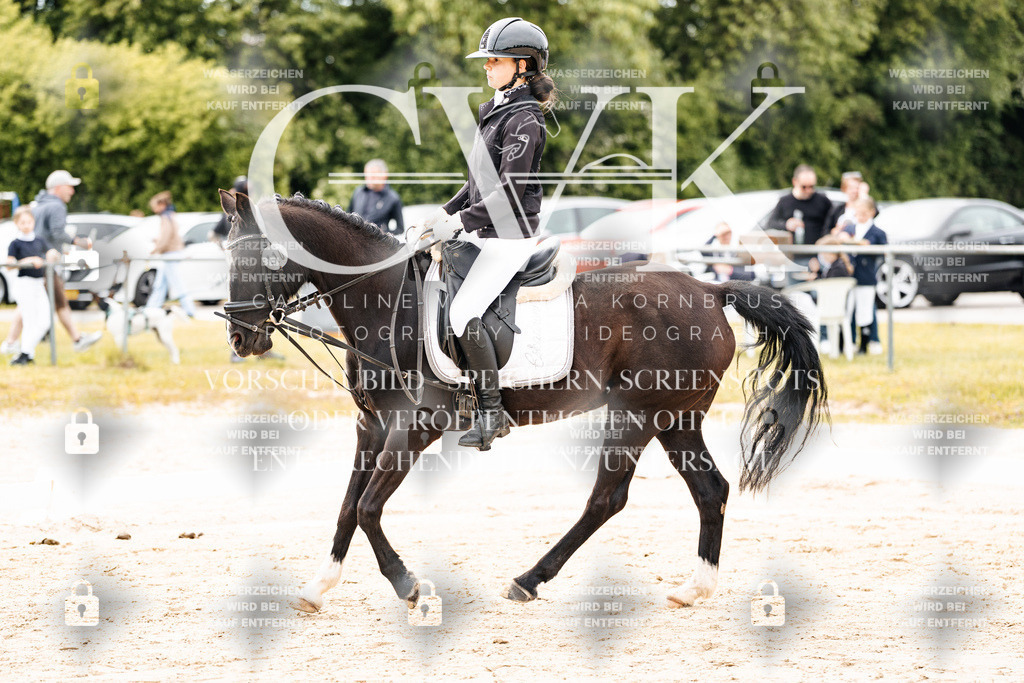 CK904330 | Turnierfotografie Pferdefotografie Trier Rheinland-Pfalz Pferdesport Reitsport Tierfotografie Sportfotografie Pferdevideo Pferdevideografie Equestrianvideography equestrianphotography  - Realisiert mit Pictrs.com