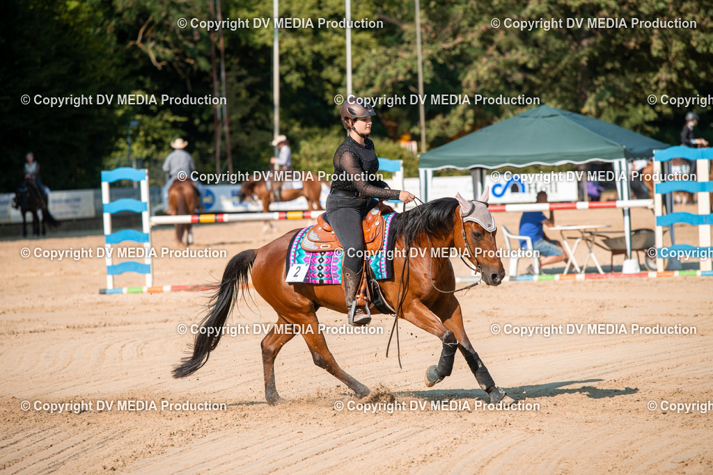 ZS2_8865 | dv-media-shop - Realisiert mit Pictrs.com