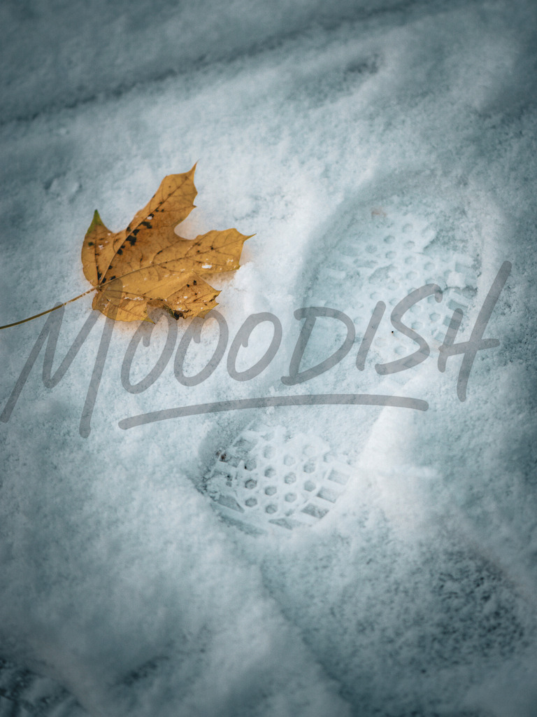 snow | mooodish - Realisiert mit Pictrs.com