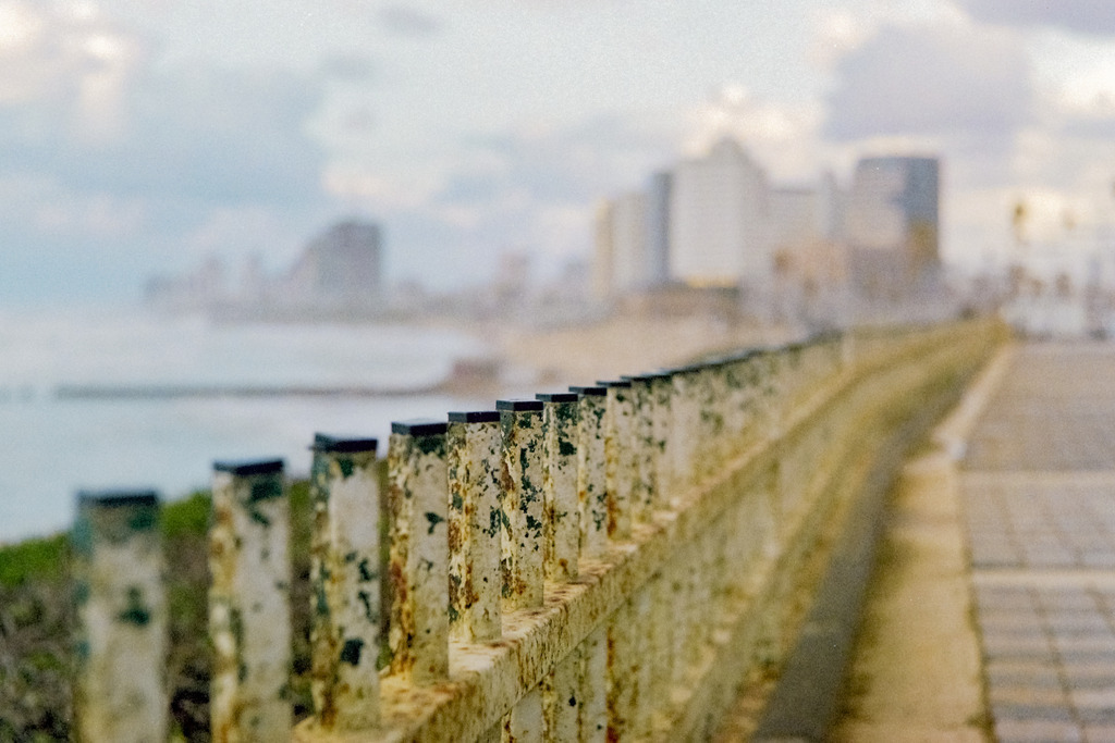 Tel Aviv, Israel | Online Shop für Christen: Christliche Poster XXL, Plakate, Wandbilder als Leinwand & christliche Postkarten, Kalender, Sticker & Lizenzen zum Download. Die Kunstwerke im christliche Geschenke Shop zeigen die Jahreslosung 2025, Gott, Jesus & mehr.