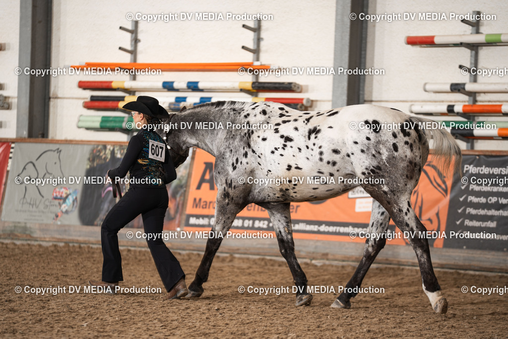 Heiligenwald Tag 2-198 | dv-media-shop - Realisiert mit Pictrs.com