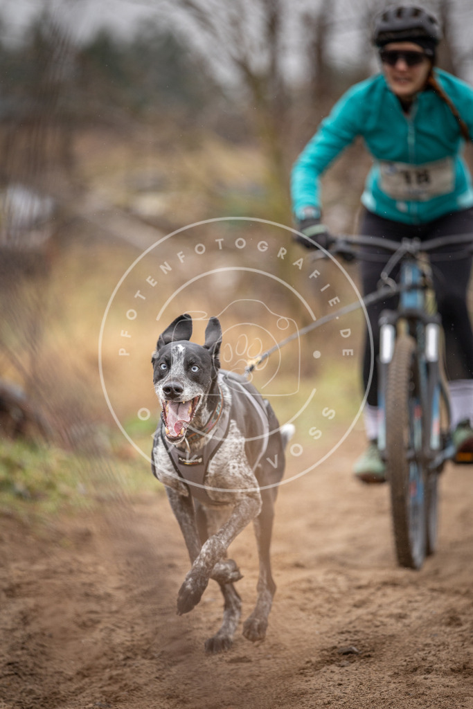 DV3A9011 | Hundefotografie, Tierfotograf, Pfotenfotografie, Fotoshooting Hund, Hunde Portrait, Hundesport, Hundeportraits, Heideshooting, Hunde, Sportfotograf, Hundefotograf, Turnierhundsport, THS,  - Realisiert mit Pictrs.com