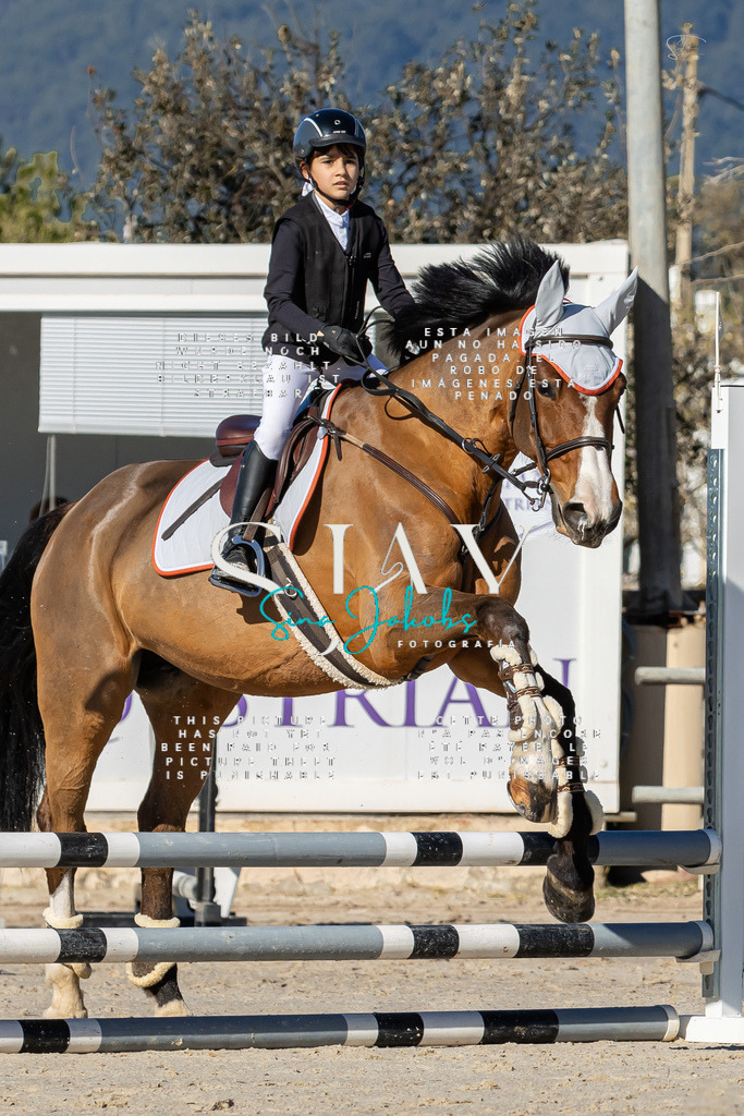 IMG_8116 | s-jay-photography - Realisiert mit Pictrs.com