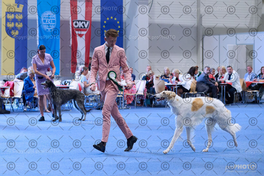 202406_ÖKV-IHA-Tulln24_DSC_4253 | proPHOTO - Realisiert mit Pictrs.com