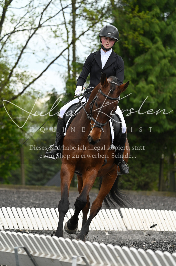 20230512_JK-Röhrsdorf-08-059 | Pferde- und Turnierfotografie in Westsachsen. Pferdeportraits, Auftragszeichnungen und intuitive Kunst.