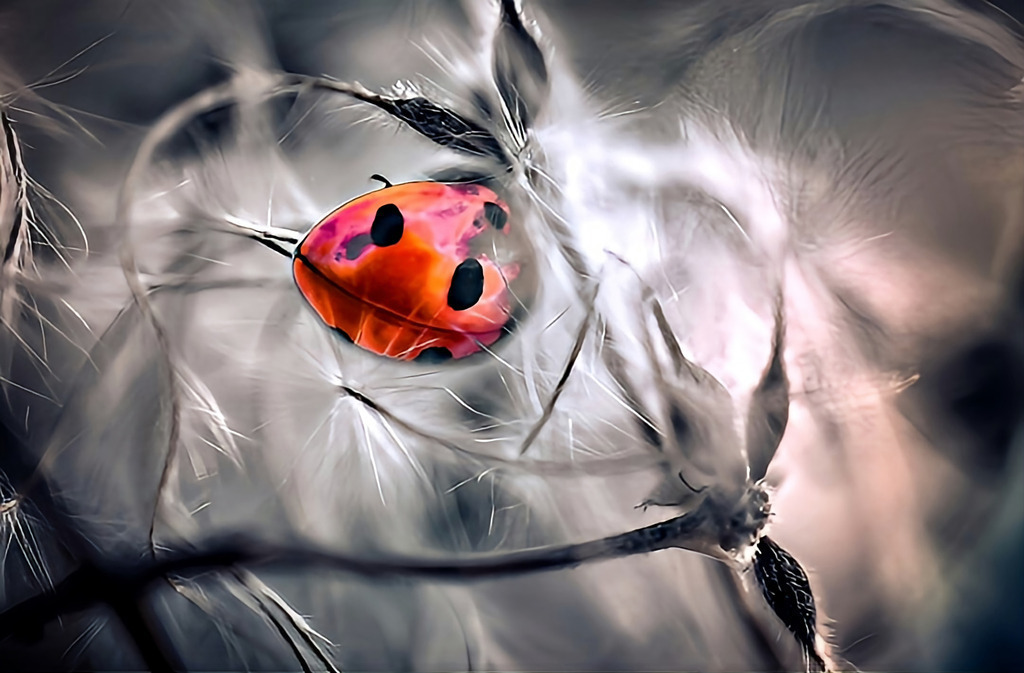 PSX_20240617_165618 | RemasterDirector_18da6b0cf - Realisiert mit Pictrs.com