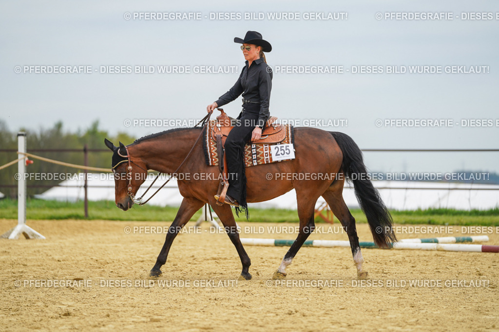 DSC03014 | Pferdegrafie