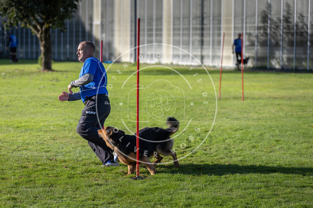 Pfotenfotografie.de_DV3A3322 | Hundefotografie, Tierfotograf, Pfotenfotografie, Fotoshooting Hund, Hunde Portrait, Hundesport, Hundeportraits, Heideshooting, Hunde, Sportfotograf, Hundefotograf, Turnierhundsport, THS, canicross - Realisiert mit Pictrs.com