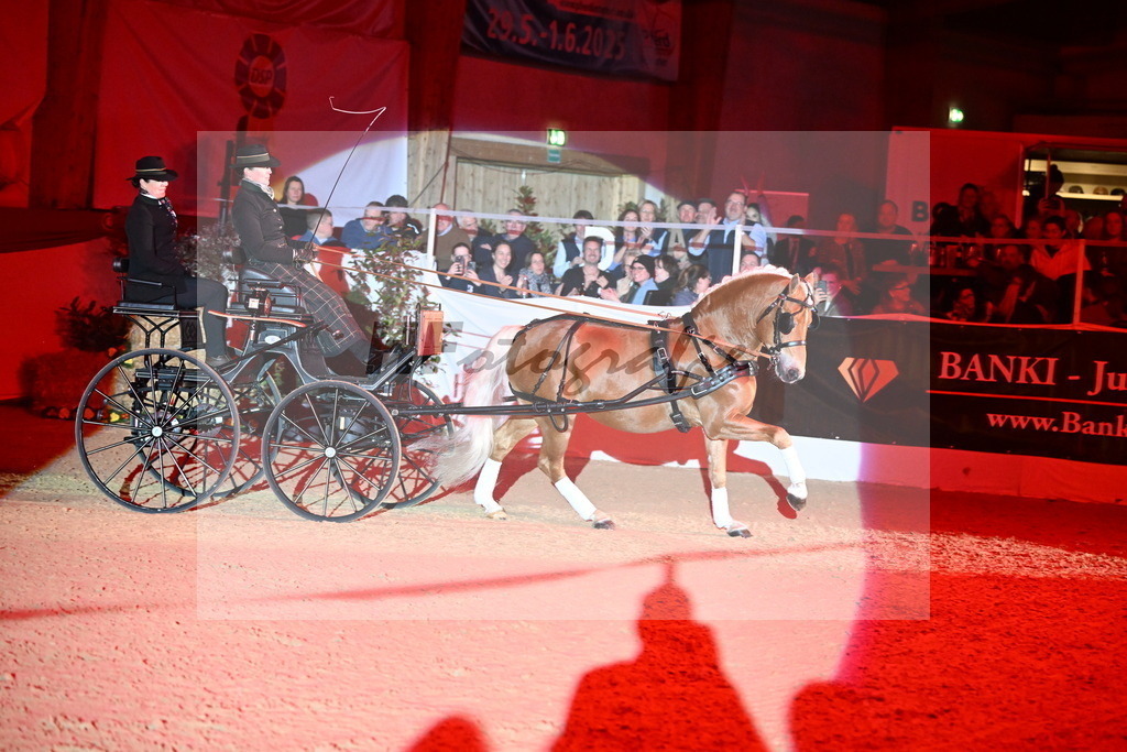 DSP_Avici_As_Karosser_2254534 | hf-fotografie - Realisiert mit Pictrs.com