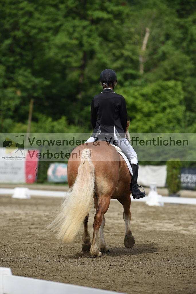 DSC_8263 | equestrian-live-com