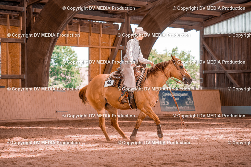 NE100777 | dv-media-shop - Realisiert mit Pictrs.com