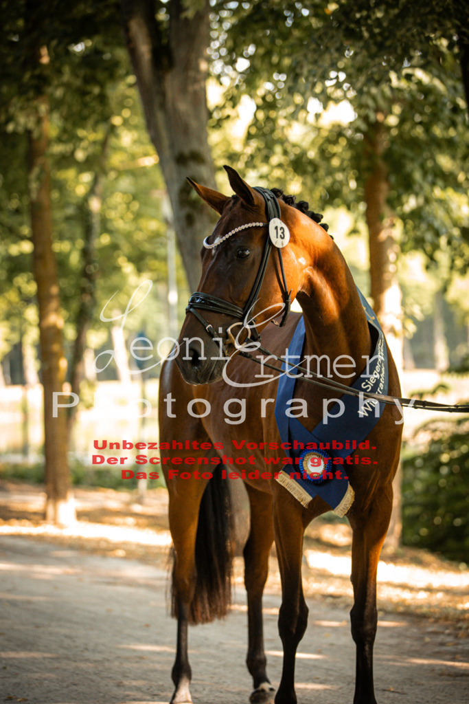 DoER00143 | Leoni Ertmer Photography - Realisiert mit Pictrs.com