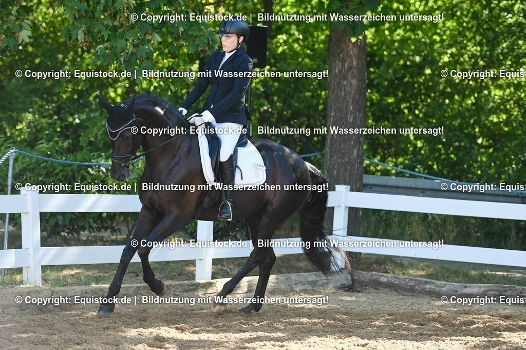 20230715_06_Dressurpferdeprfg. Kl.A_0351 | equistock