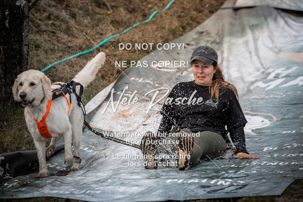 nelerasche_1330-1400_119 | nelerasche