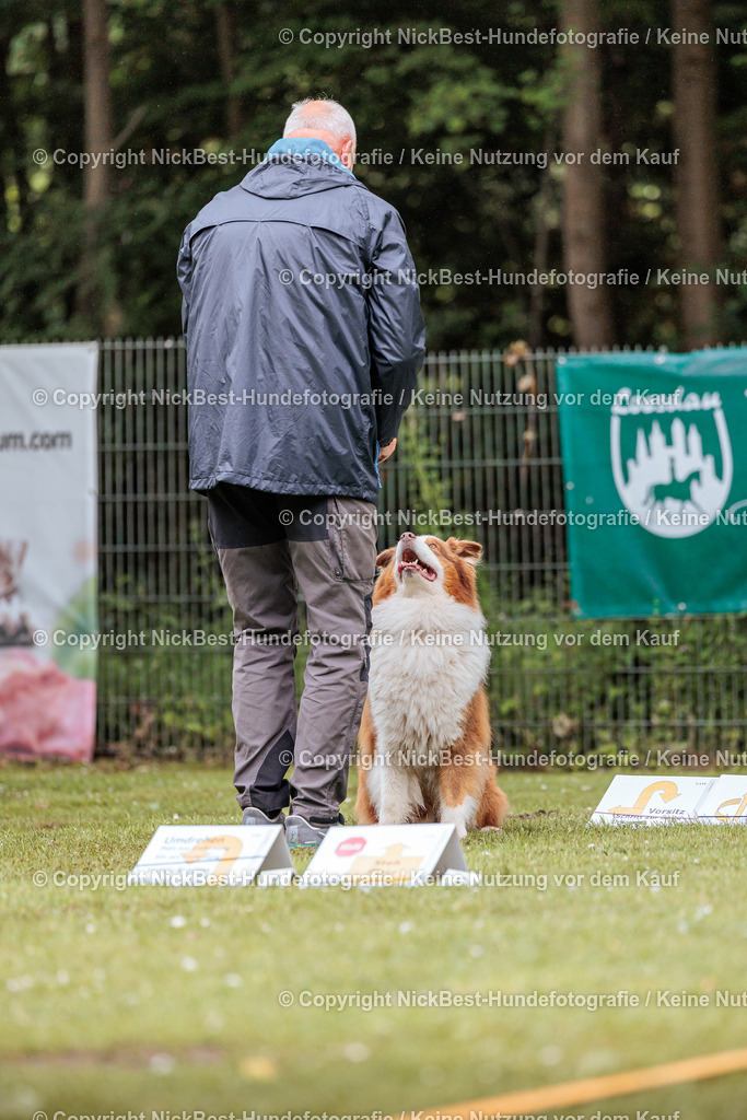 RO-Blumenthal-2026-Nickbest-Hundefotografie-3732 | Dein Hund! Dein Moment! Deine Erinnerungen! Hundefotografie in Bremen Blumenthal. Ich fange die besonderen Momente deines Vierbeiners ein – ob Indoor mit Blitzanlage oder in der freien Natur. Sicher dir dein Moment und dein Termin für eure Erinnerungen.