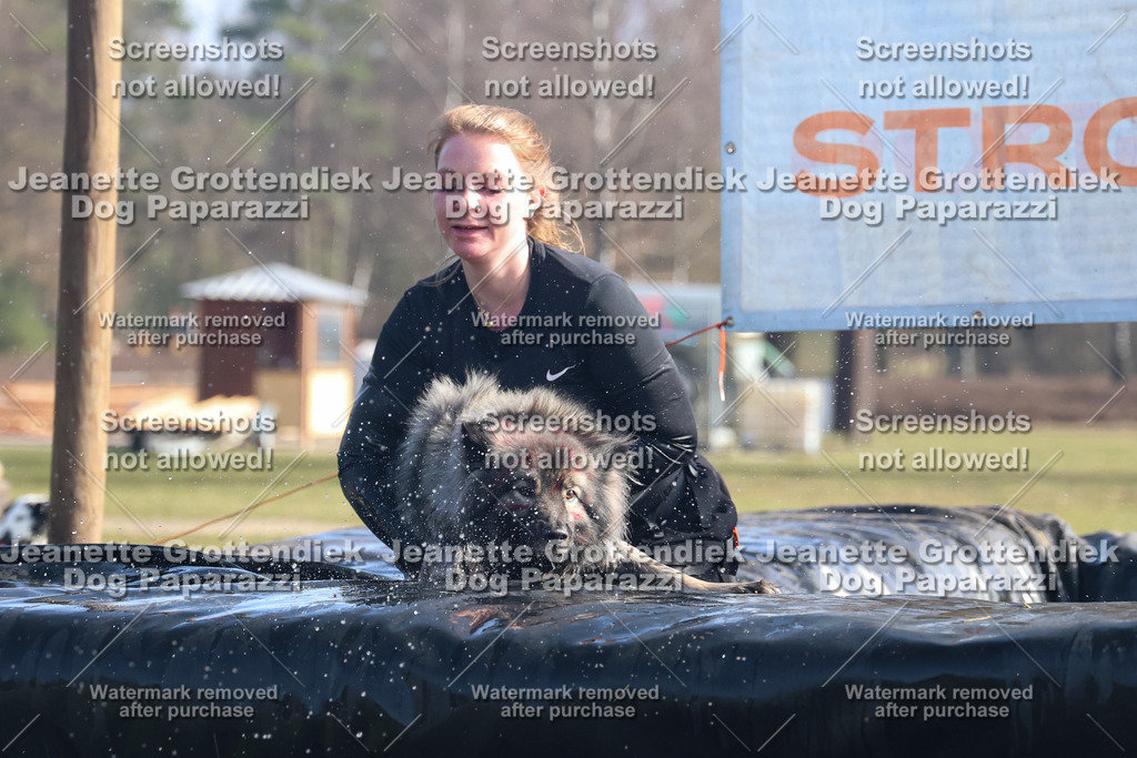 Dog Paparazzi - Strongdog North Mrz26-1203 | Dog Paparazzi Jeanette Grottendiek Fotografie & Videografie - Realisiert mit Pictrs.com