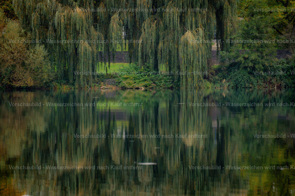 DSC05484 | marcuslinek