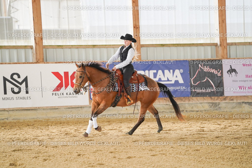 DSC04924 | Pferdegrafie