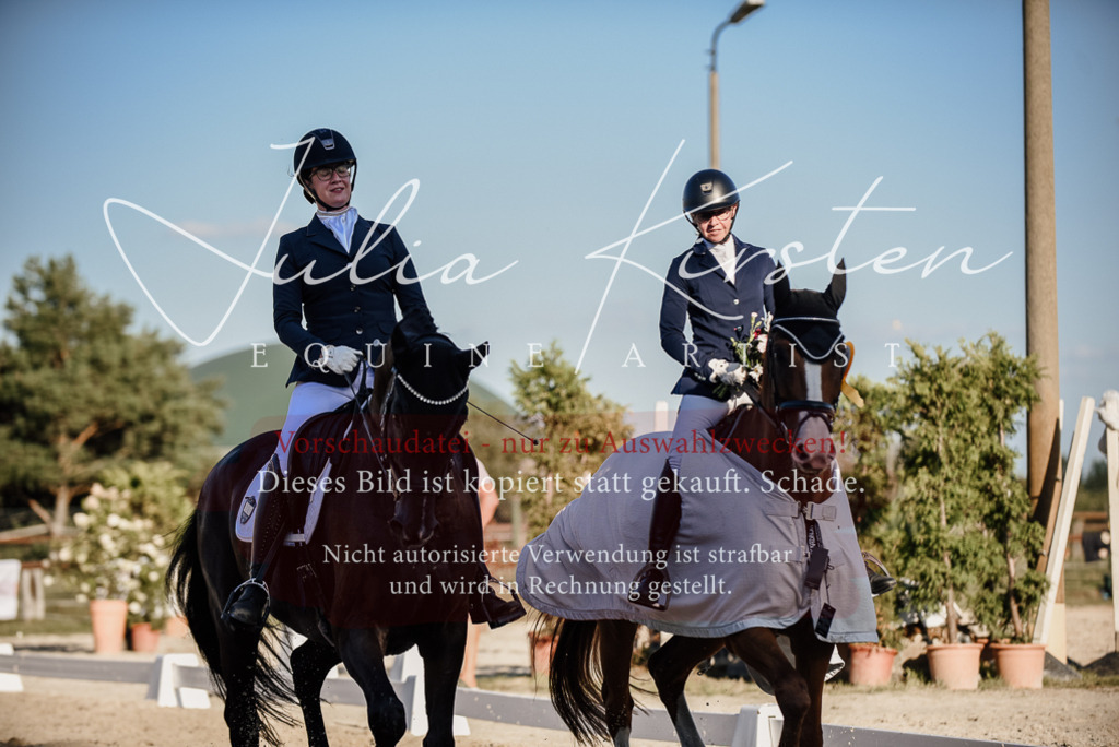 DSC_0766 | Pferde- und Turnierfotografie in Westsachsen. Pferdeportraits, Auftragszeichnungen und intuitive Kunst.