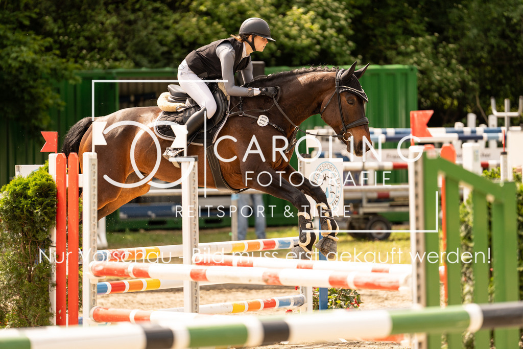 DSC02396 | Carolin Gieschke