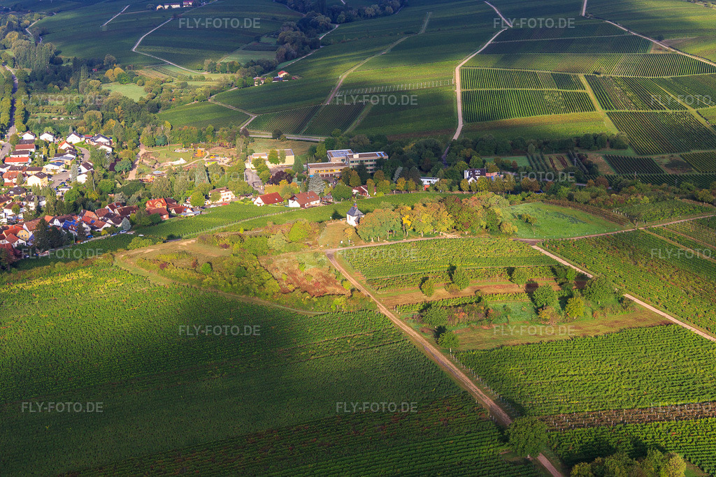 Luftbild: Kapelle Kleine Kalmit aus Osten im Ortsteil Arzheim in Landau im Bundesland Rheinland-Pfalz in Deutschland. Foto: IMG_103319.jpg vom 10.09.2017 durch Werner Riehm/FLY-FOTO.de