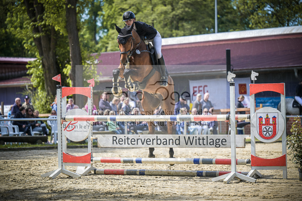 DOS_8043 | Entdecke hochwertige Reitturnierfotos von Foto Oger. Professionell, emotional und authentisch – jetzt Lieblingsmomente im Shop bestellen.Deutschlandweite Turnierfotografie. - Realisiert mit Pictrs.com