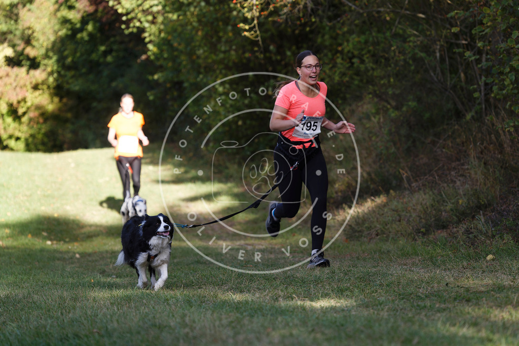 0L8A5716 | Hundefotografie, Tierfotograf, Pfotenfotografie, Fotoshooting Hund, Hunde Portrait, Hundesport, Hundeportraits, Heideshooting, Hunde, Sportfotograf, Hundefotograf, Turnierhundsport, THS,  - Realisiert mit Pictrs.com
