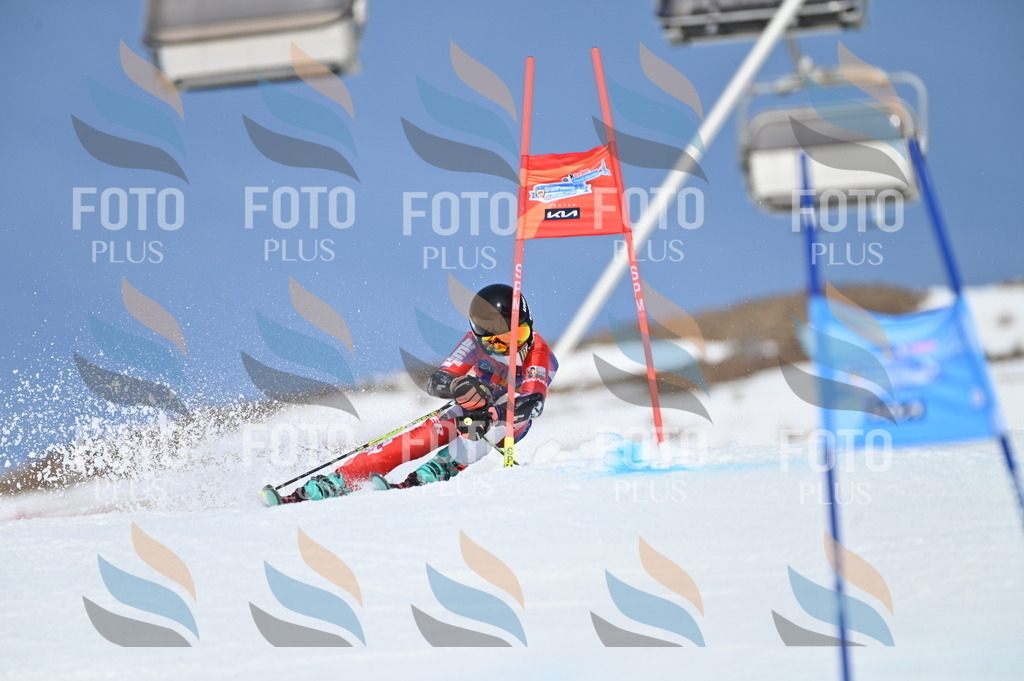 BGV_0777 | holidayphoto