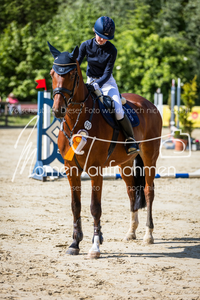 Donop24-ESpr-106 | MomenTaufnahmen Pferdesportfotos