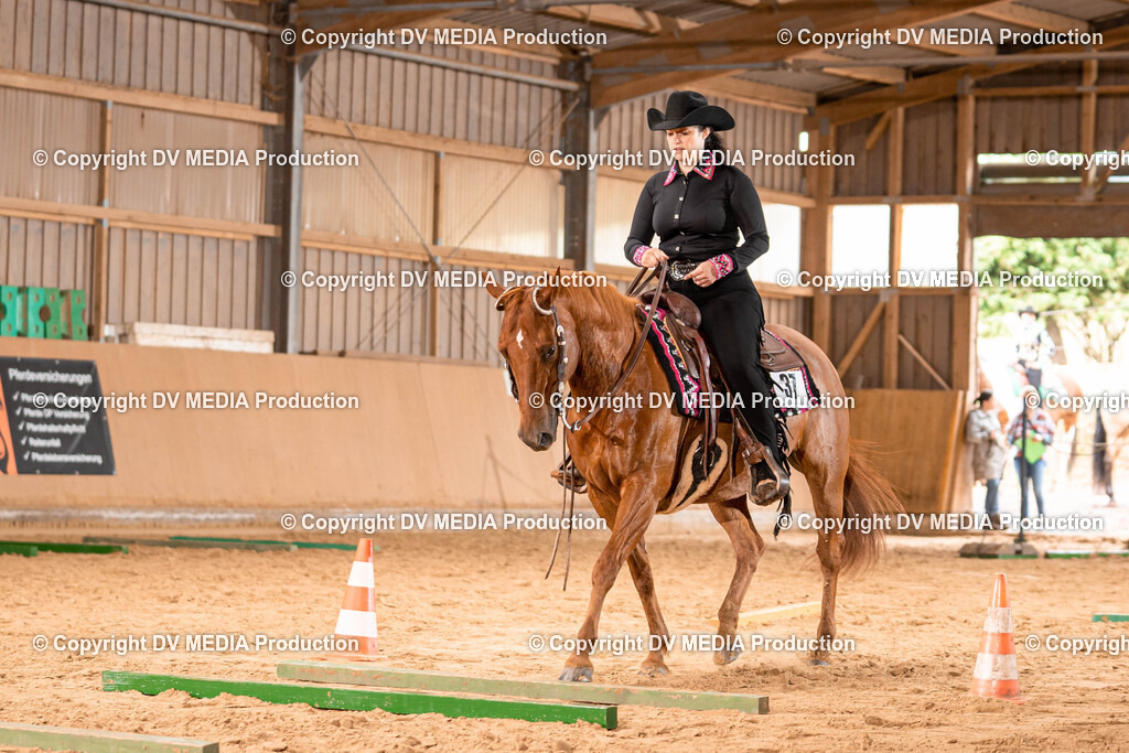 Losheim Tag 2-115 | dv-media-shop - Realisiert mit Pictrs.com