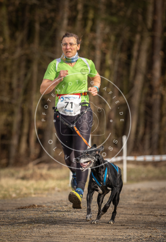 DV3A3716 | Hundefotografie, Tierfotograf, Pfotenfotografie, Fotoshooting Hund, Hunde Portrait, Hundesport, Hundeportraits, Heideshooting, Hunde, Sportfotograf, Hundefotograf, Turnierhundsport, THS,  - Realisiert mit Pictrs.com