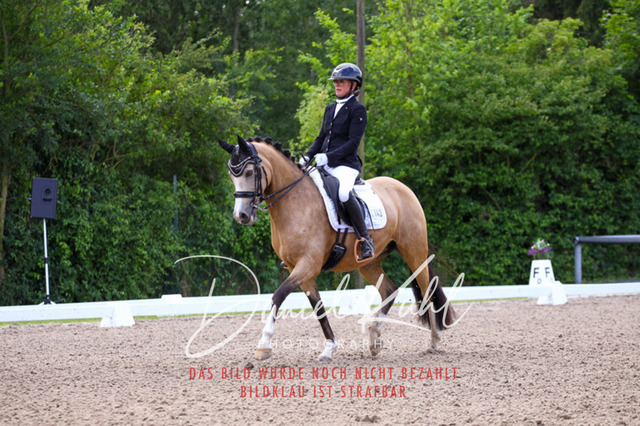 DKP40914 | Turnierfotos kaufen im Webshop von Daniel Kuhl Photography – entdecke professionelle Reitsportfotos aus Turnieren & Events. Hochwertige Turnierbilder online bestellen & sichern. Jetzt Fotos von Reitsportturnieren kaufen!
