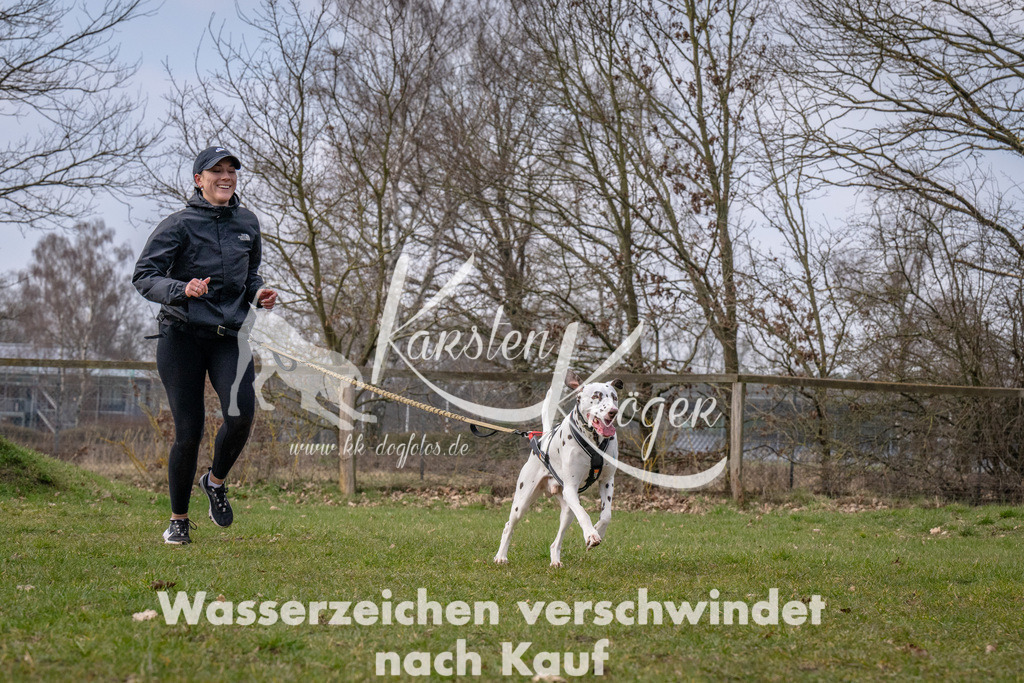 _ZZ91103 | kk-dogfotos