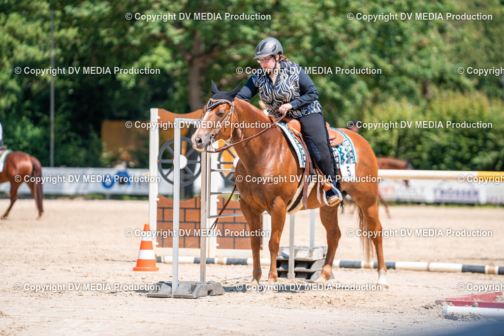 Zeiskam Tag 2-700 | dv-media-shop - Realisiert mit Pictrs.com