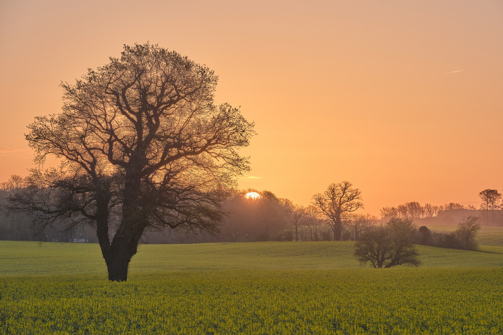 Datei 16 | Entdecken Sie hochwertige Fotoprodukte für Ihr Zuhause, Büro oder als besonderes Geschenk.rpixel.de bietet Ihnen exklusive Fotografien aus den Bereichen Natur, Landschaft und Motiven vom Meer.Einfach direkt im Online-Shop bestellen. - Realisiert mit Pictrs.com