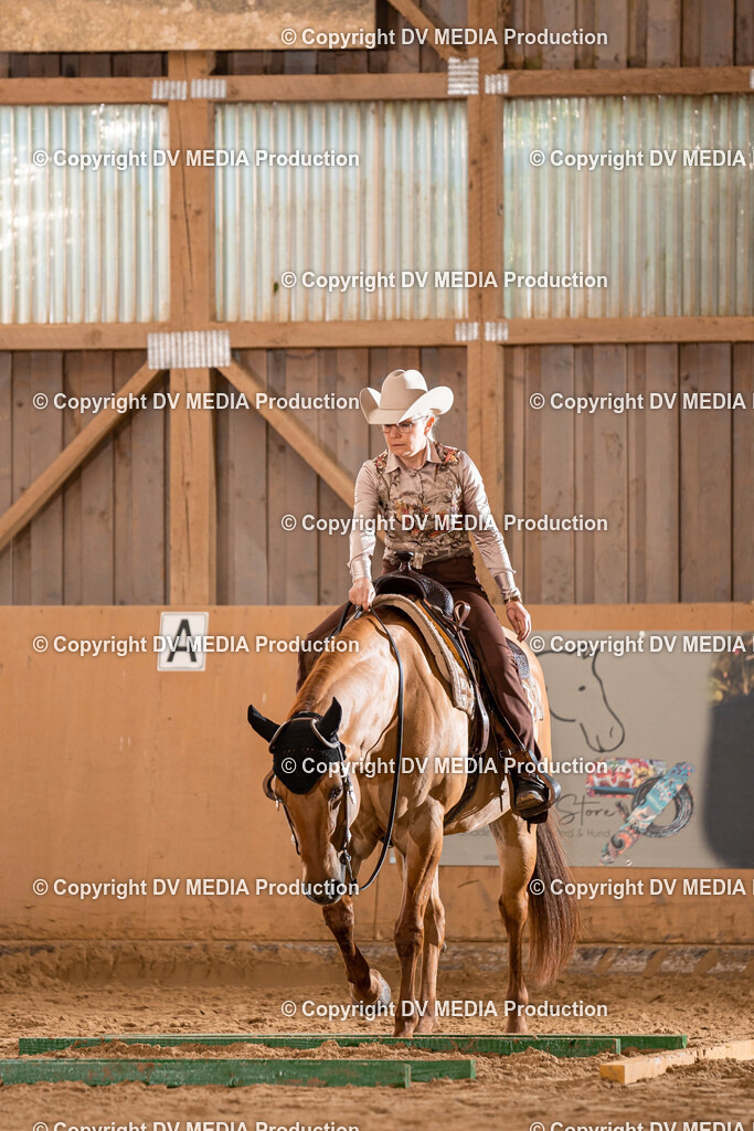 Losheim Tag 2-206 | dv-media-shop - Realisiert mit Pictrs.com