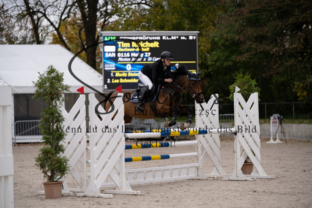 A7V00796 | Pferdefotograf