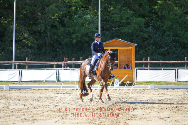DKP42664 | Turniersportfotografie; Pferdefotografie; Dressurfotografie