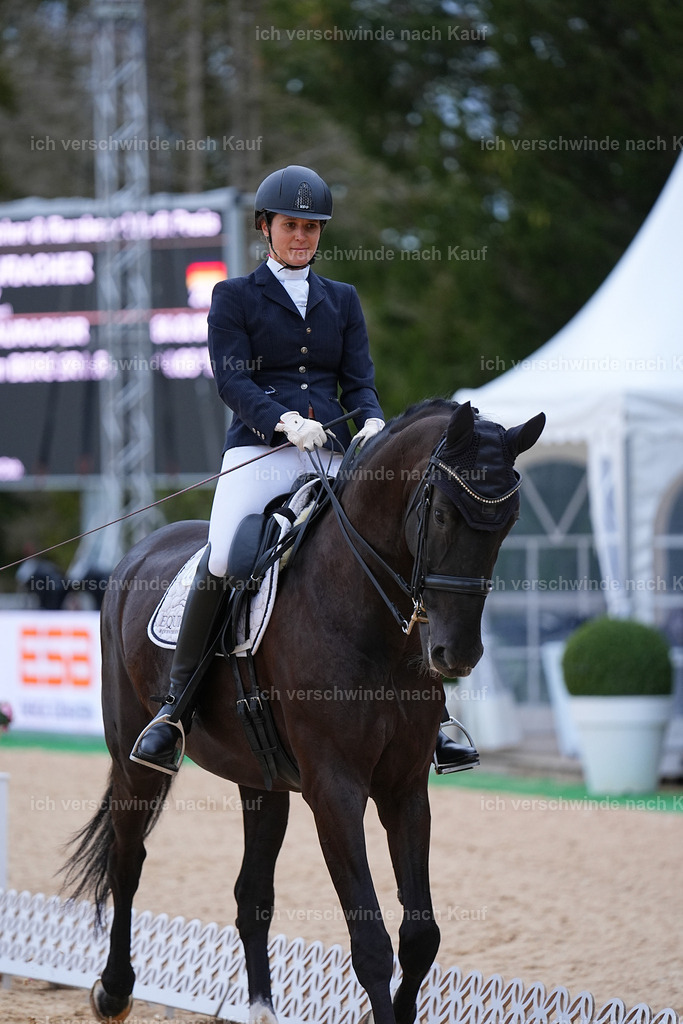 04_2-202-Dressur M__ -Marixx-3057 | working equitationturnier fotograf videograf stoibphotography marixx film working equitation deutschland reitsport turnierfotografie eventfotografie equestrian events
