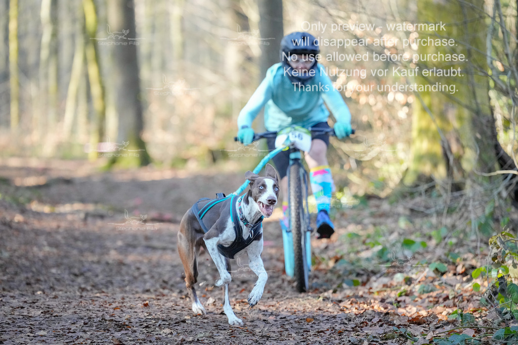 Scooter_So_So-5 | stephaniefillaphotographie - Realisiert mit Pictrs.com