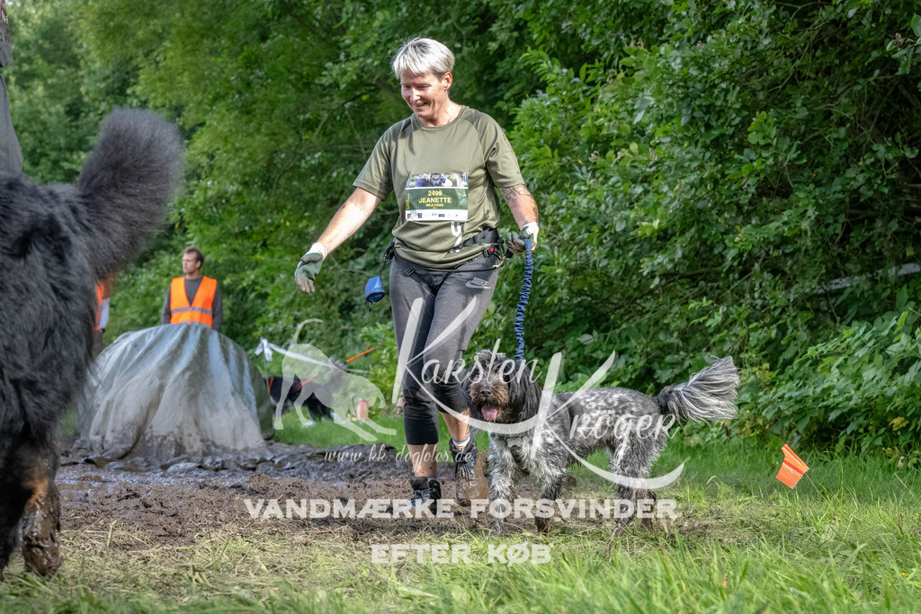 1715_ZZ91723-Bearbeitet | kk-dogfotos