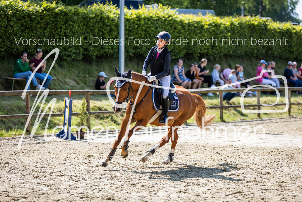 Donop24-SprRW-044 | MomenTaufnahmen Pferdesportfotos