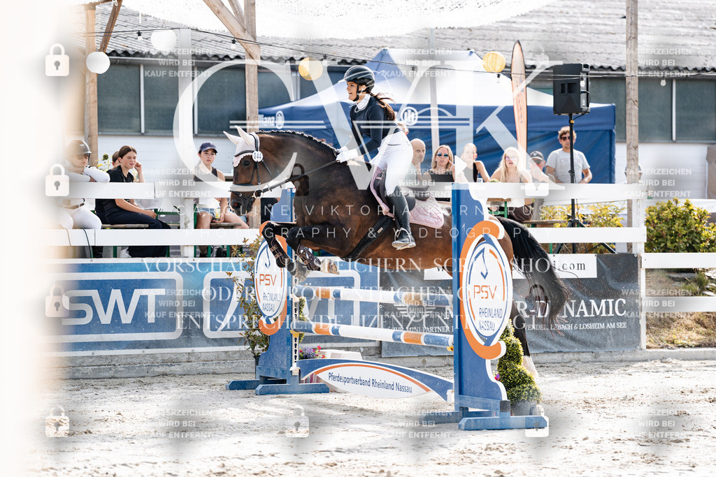 CK905612 | Turnierfotografie Pferdefotografie Trier Rheinland-Pfalz Pferdesport Reitsport Tierfotografie Sportfotografie Pferdevideo Pferdevideografie Equestrianvideography equestrianphotography  - Realisiert mit Pictrs.com